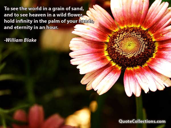 William Blake Quotes6